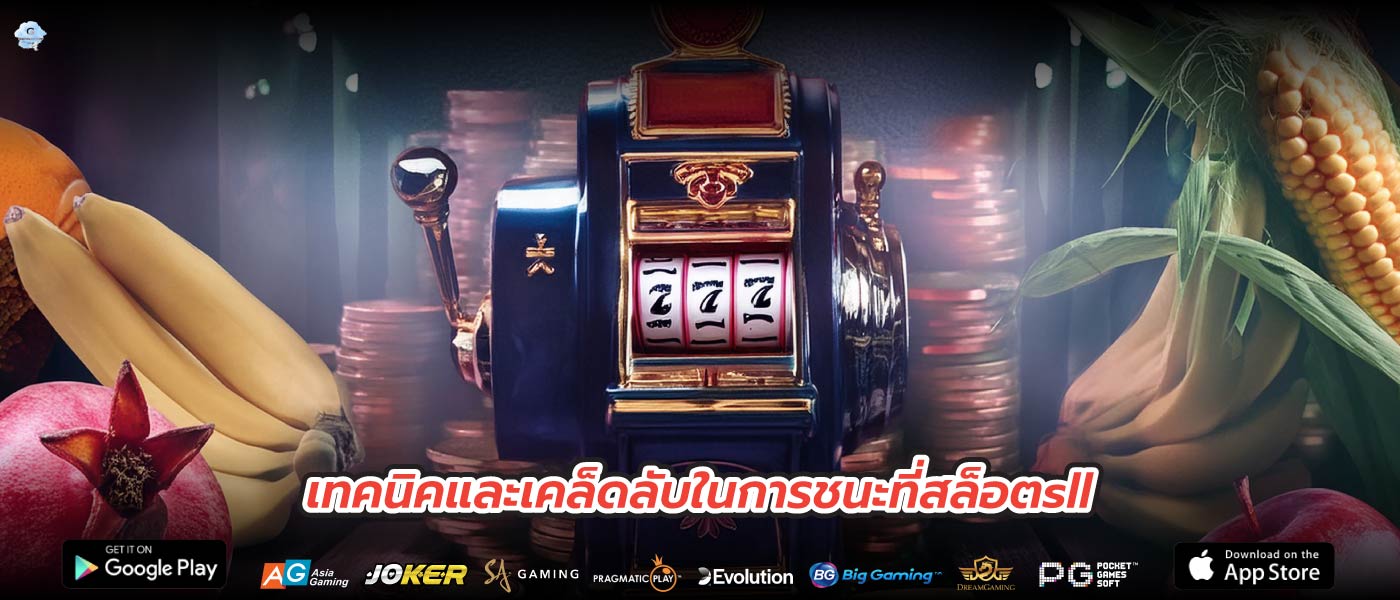 เทคนิคและเคล็ดลับในการชนะที่สล็อตsll